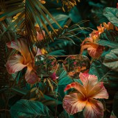 Painting on glass Glasses and flowers